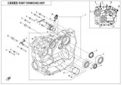 RIGHT CRANKCASE ASSY