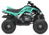 Štvorkolka YAMAHA YFM110R (2025)
