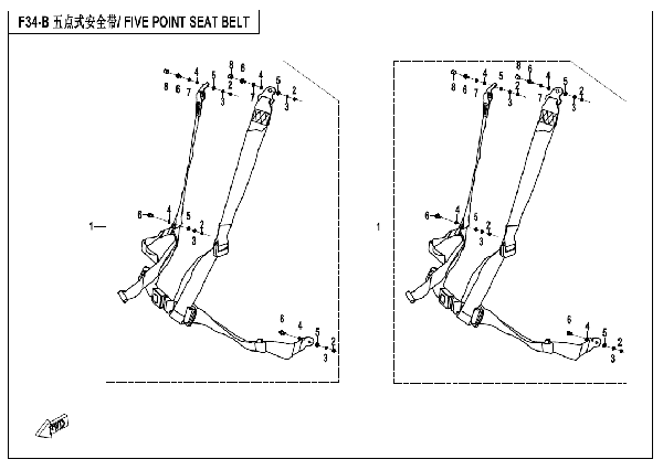 F34-B FIVE POINT SEAT BELTS