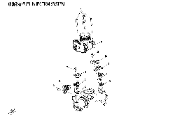 E17 FUEL INJECTION SYSTEM
