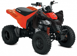 Štvorkolka CAN-AM DS 250 (2026)