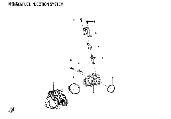 E17 FUEL INJECTION SYSTEM